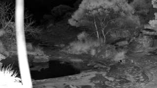 Still 1 from this detection