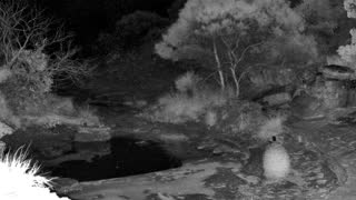 Still 2 from this detection