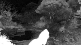 Still 2 from this detection