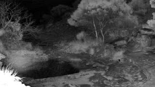 Still 3 from this detection