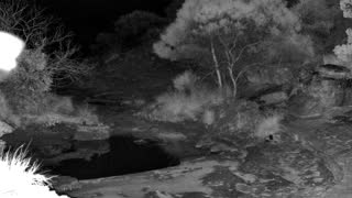 Still 1 from this detection