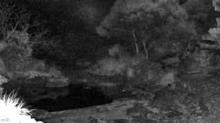 Still 2 from this detection