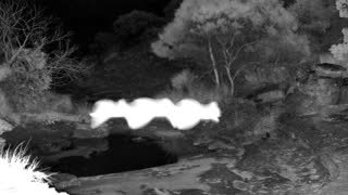 Still 1 from this detection