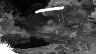 Still 1 from this detection
