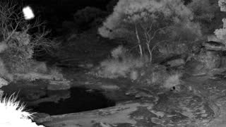 Still 2 from this detection