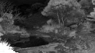 Still 3 from this detection