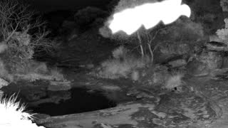 Still 1 from this detection