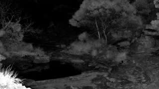 Still 2 from this detection