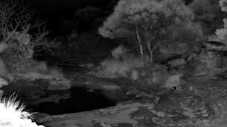 Still 3 from this detection