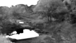 Still 1 from this detection
