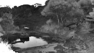 Still 1 from this detection