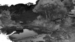 Still 1 from this detection