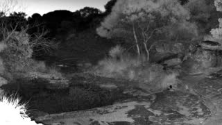 Still 1 from this detection