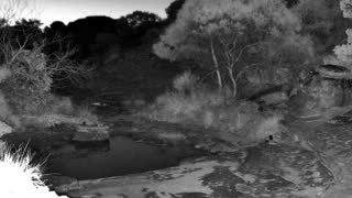 Still 3 from this detection