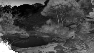 Still 1 from this detection