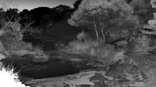 Still 2 from this detection