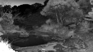Still 1 from this detection
