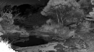 Still 1 from this detection
