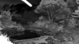Still 2 from this detection