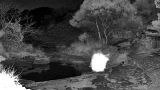 Still 1 from this detection