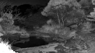Still 2 from this detection