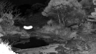 Still 2 from this detection
