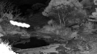 Still 2 from this detection