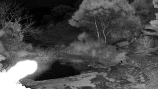 Still 1 from this detection