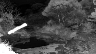 Still 2 from this detection
