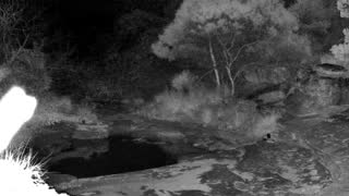 Still 1 from this detection