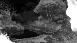 Still 1 from this detection