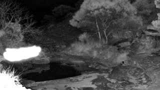Still 2 from this detection