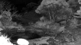 Still 1 from this detection
