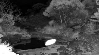 Still 1 from this detection