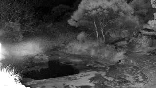 Still 1 from this detection