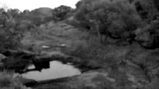 Still 2 from this detection