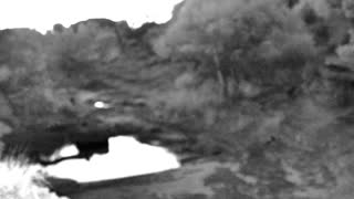 Still 1 from this detection