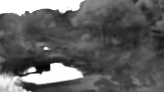 Still 3 from this detection