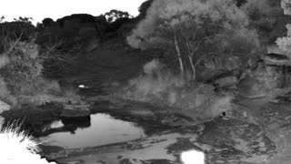 Still 1 from this detection