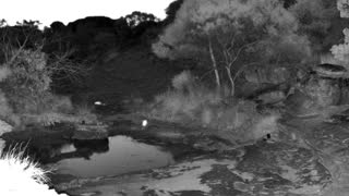 Still 1 from this detection