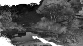 Still 1 from this detection