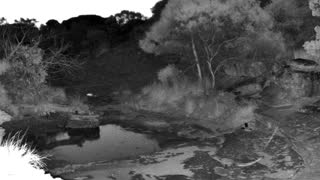 Still 3 from this detection