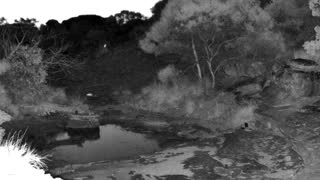 Still 3 from this detection