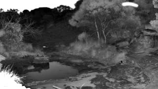 Still 1 from this detection