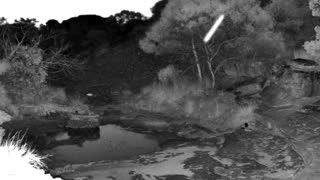 Still 2 from this detection