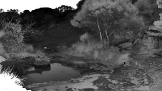 Still 3 from this detection