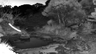 Still 1 from this detection