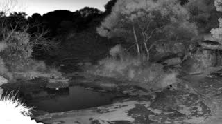 Still 3 from this detection
