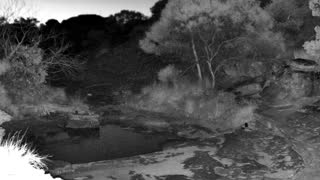 Still 3 from this detection
