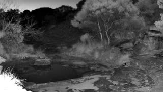 Still 1 from this detection